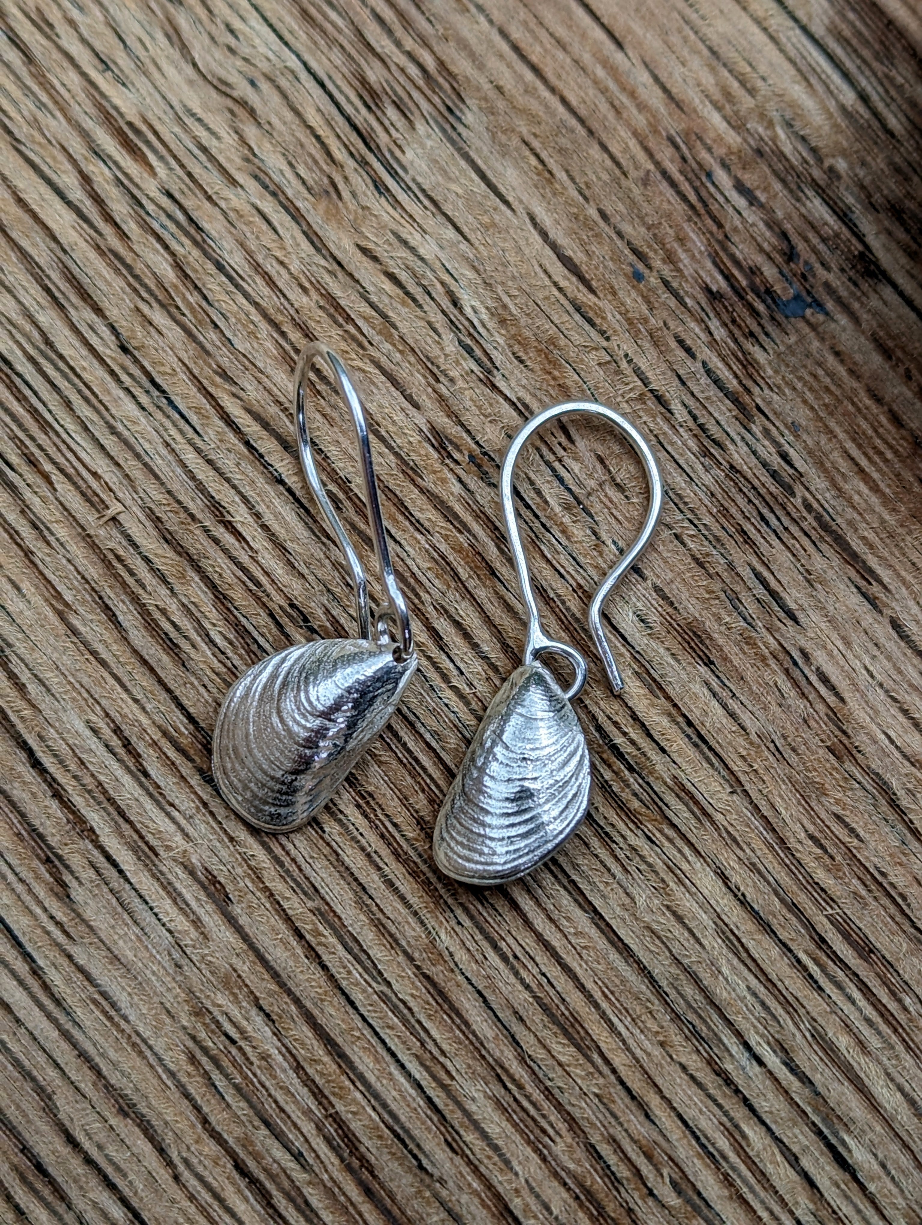 Cowrie Shell Drop Earrings ~Sterling Silver 925~ME006